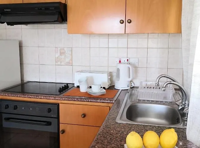 Seashell * 파포스