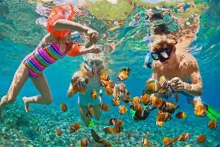 Διαμέρισμα Seashell